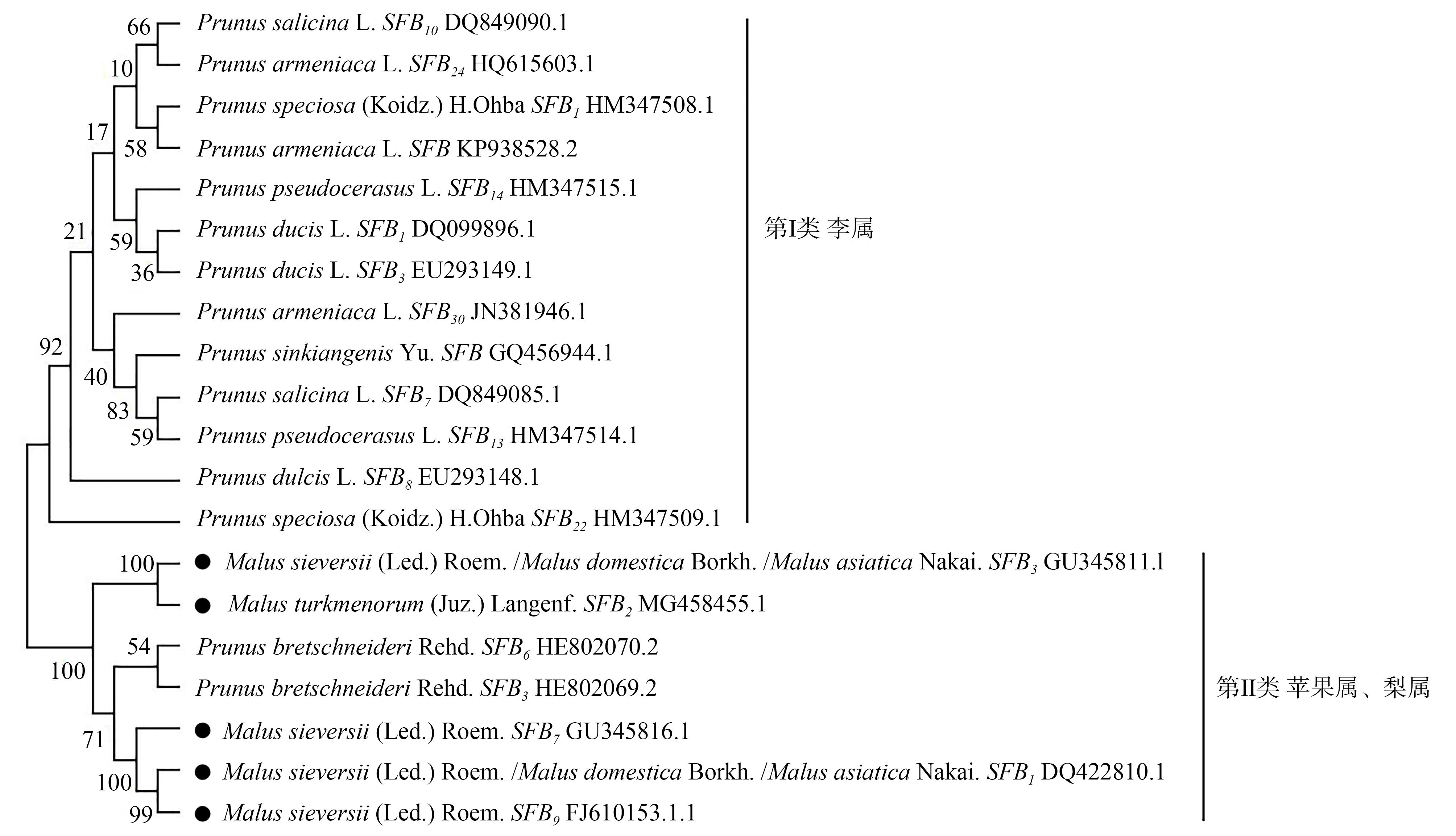 DE734FA2-05E5-450e-AFB1-